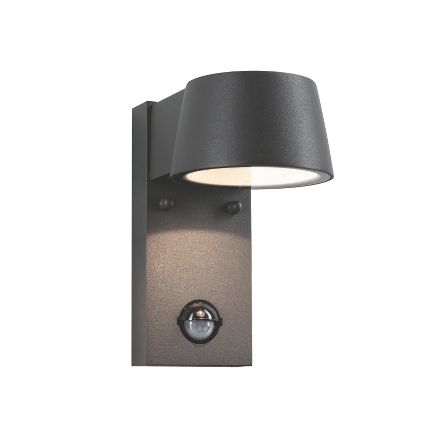 Paulmann 94453 - LED/6W IP44 Екстериорен аплик със сензор CAPEA 230V