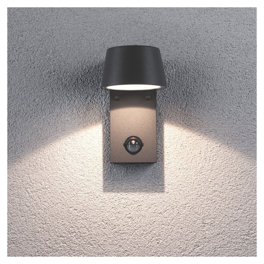 Paulmann 94453 - LED/6W IP44 Екстериорен аплик със сензор CAPEA 230V
