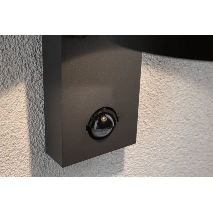 Paulmann 94453 - LED/6W IP44 Екстериорен аплик със сензор CAPEA 230V
