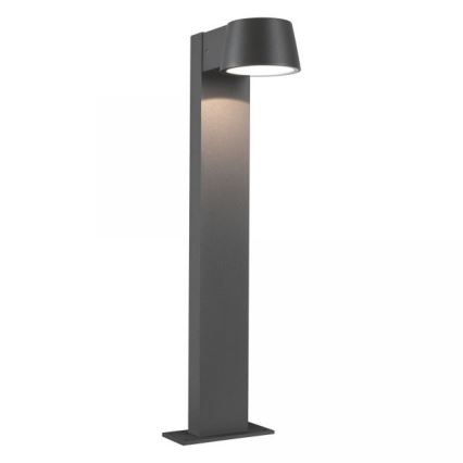 Paulmann 94454 - LED/6W IP44 Екстериорна лампа CAPEA 230V