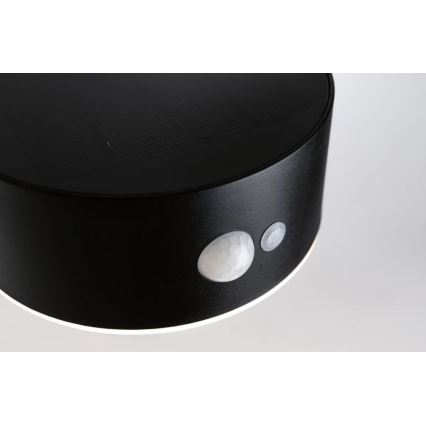 Paulmann 94570 - LED/5,5W IP44 Соларен стенен осветител с сензор EILEEN 3,7V 2000 mAh