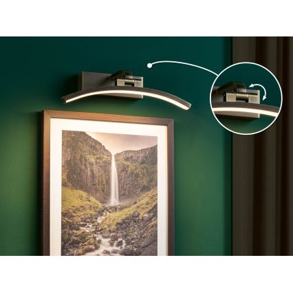 Paulmann 95559 - LED/6W осветително тяло за картини BENTO 230 V 30 см месинг