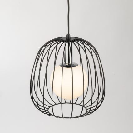 Пендел BELL 1xG9/12W/230V Ø 24 cm черен/лъскав хром