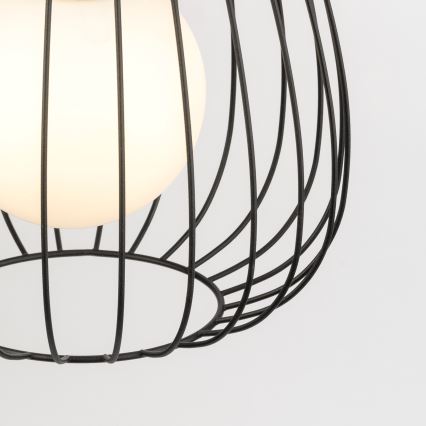 Пендел BELL 1xG9/12W/230V Ø 24 cm черен/лъскав хром