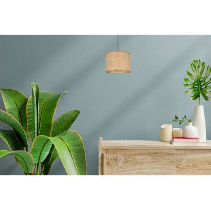Пендел IRMA 1xE27/60W/230V Ø 20 см