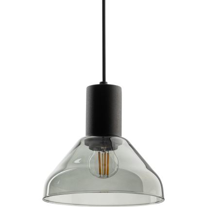 Пендел за 1-фазна релсова система NEO 1xE27/15W/230V черен/опушен черен