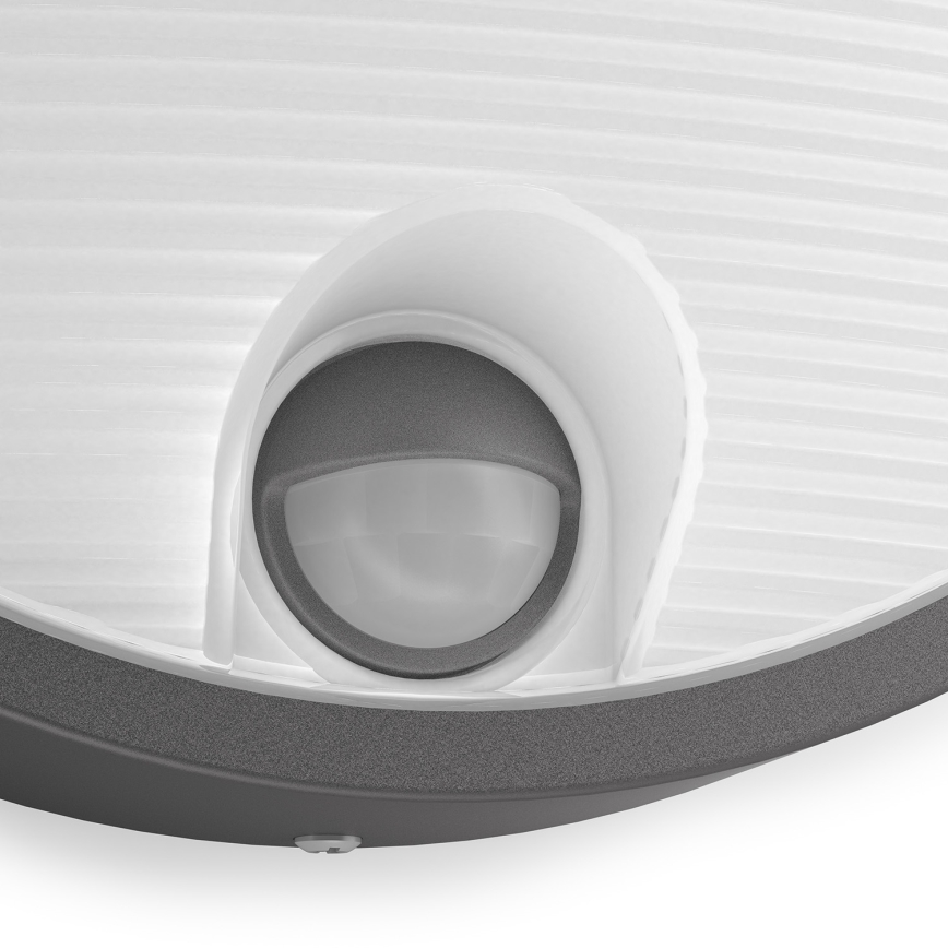 Philips - LED Екстериорна лампа със сензор LED/6W IP44