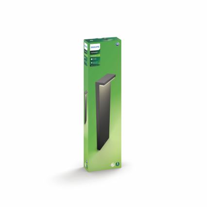 Philips - LED Екстериорна лампа 2xLED/4,5W/230V 2700K IP44
