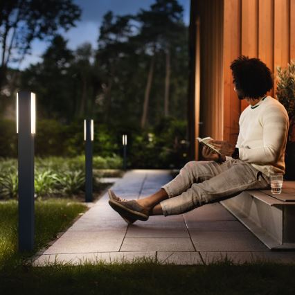 Philips - LED Екстериорна лампа 2xLED/4,5W/230V IP44