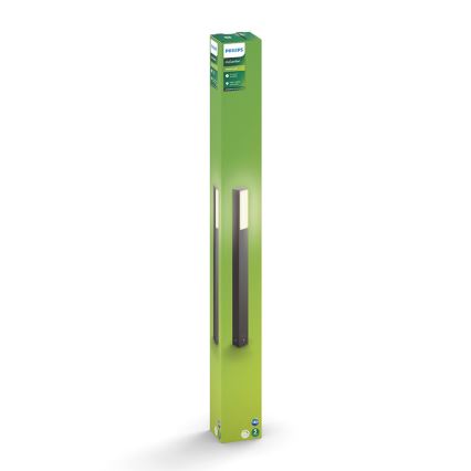 Philips - LED Екстериорна лампа 2xLED/4,5W/230V IP44