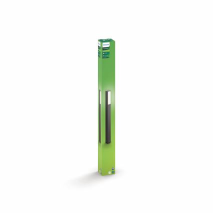 Philips - Екстериорна лампа-колона 2xLED/4,5W IP44