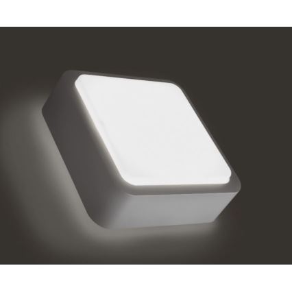 Philips 16913/87/16 - Екстериорен аплик FLOWERBED 1xGR10Q/16W/230V IP44