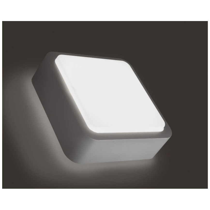 Philips 16913/87/16 - Екстериорен аплик FLOWERBED 1xGR10Q/16W/230V IP44
