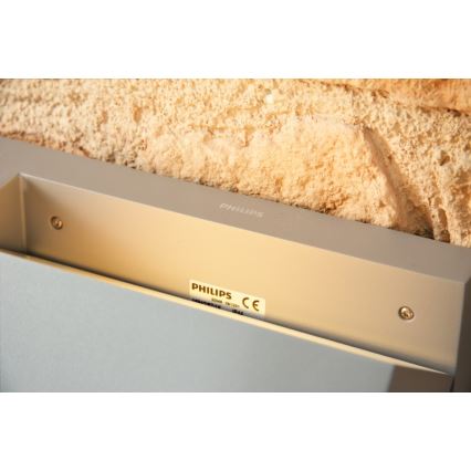 Philips - Екстериорен аплик 1xE27/23W/230V IP44