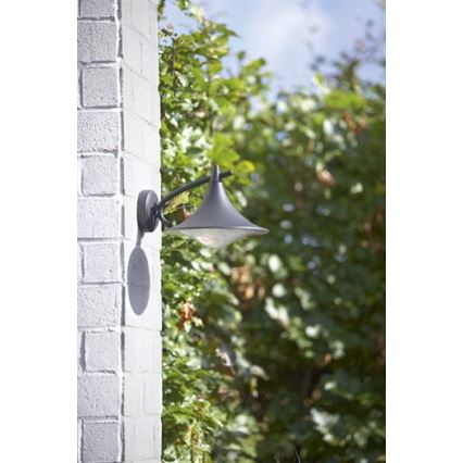 Philips 17207/93/16 - Екстериорна Стенна лампа MYGARDEN CEDAR 1xE27/15W/230V IP44