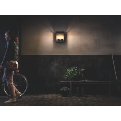 Philips - Екстериорен аплик 2xE27/42W/230V IP44