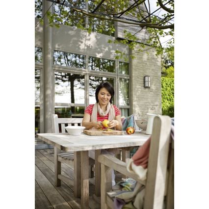 Philips 17249/42/16 - Екстериорна Стенна лампа MYGARDEN NECTAR 1xE27/20W/230V IP44