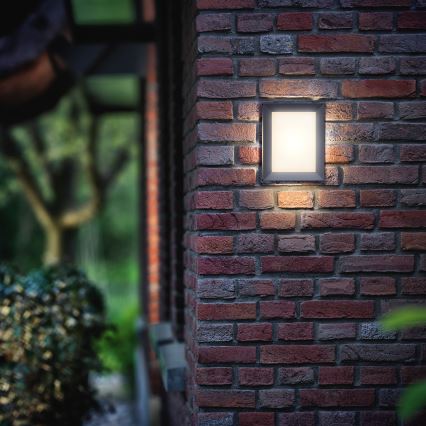 Philips - Външно стенно осветително тяло LED/6W/230V IP44