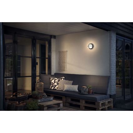 Philips - Екстериорна Стенна лампа 1xE27/42W/230V IP44