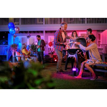 Philips - Удължителен комплект LED RGB екстериорен спот Hue LILY LED/8W/230V IP65