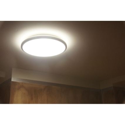 Philips 30804/87/16 - LED Лампа за таван MYLIVING TWIRL 30K LED/11W/230V