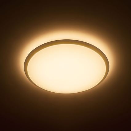 Philips - LED таванно осветително тяло LED/20W/230V