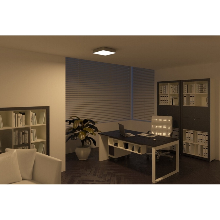 Philips 32204/17/16 - Таванна За баня лампа INSTYLE PLANO 1x2GX13/60W/230V IP44