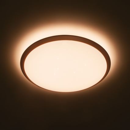Philips 32809/31/P3 - LED Димируема Лампа за таван CANAVAL LED/18W/230V