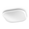 Philips 32810/31/P3 - LED регулируемо таванно осветително тяло CANAVAL LED/18W/230V