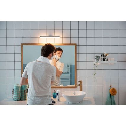 Philips 34341/11/P0 - LED Димируема лампа за баня MYBATHROOM PLUNGE LED/9W/230V IP44