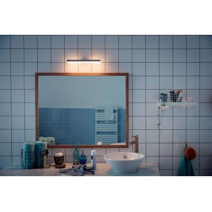 Philips 34341/11/P0 - LED Димируема лампа за баня MYBATHROOM PLUNGE LED/9W/230V IP44