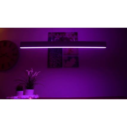 Philips -  LED RGBW Димируем пендел Hue ENSIS White And Color Ambiance 2xLED/39W/230V