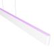 Philips - LED RGBW Димируем пендел Hue ENSIS White And Color Ambiance 2xLED/39W/230V