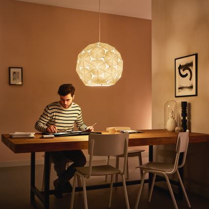 Philips - Полилей на верижка 1xE27/60W/230V
