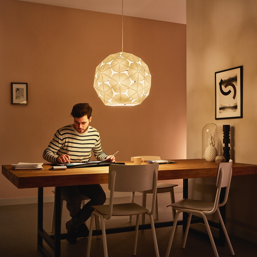 Philips - Полилей на верижка 1xE27/60W/230V