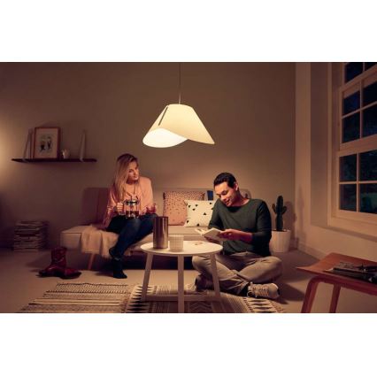 Philips - Висящ полилей E27/60W/230V