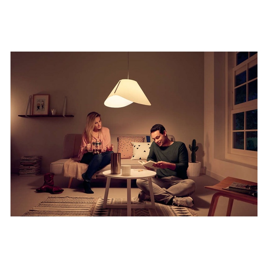 Philips - Висящ полилей E27/60W/230V