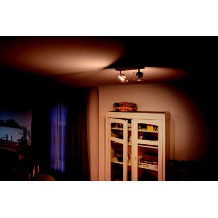 Philips 50482/17/PO - LED Точково осветително тяло GOLYGON 2xLED/4,5W/230V