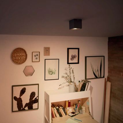 Philips - димируемо LED точково осветително тяло LED/4,5W/230V