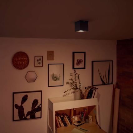 Philips - димируемо LED точково осветително тяло LED/4,5W/230V