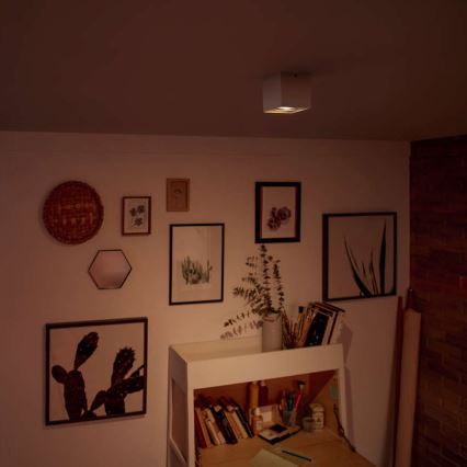 Philips - Димируемо LED точково осветително тяло LED/4,5W/230V