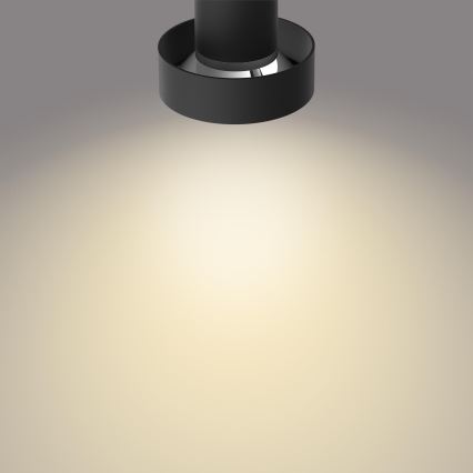 Philips 50602/30/P0 - LED Димируем спот BUKKO 2xLED/4,5W/230V