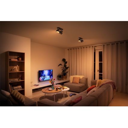 Philips 50602/30/P0 - LED Димируем спот BUKKO 2xLED/4,5W/230V