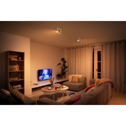Philips 50602/31/P0 - LED Спот BUKKO 2xLED/4,5W/230V
