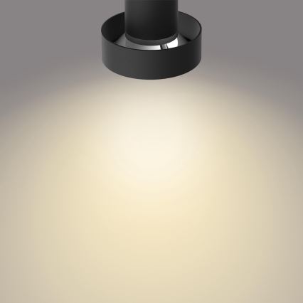Philips 50603/30/P0 - LED Димируем спот BUKKO 3xLED/4,3W/230V