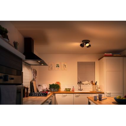 Philips 50603/30/P0 - LED Димируем спот BUKKO 3xLED/4,3W/230V