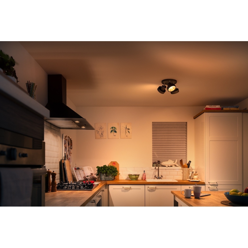 Philips 50603/30/P0 - LED Димируем спот BUKKO 3xLED/4,3W/230V