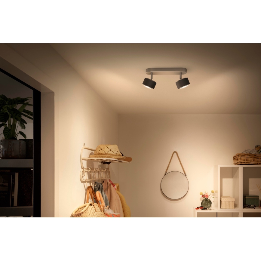Philips 50652/30/P0 - LED Прожектор, луна FERANO 2xLED/4,3W/230V