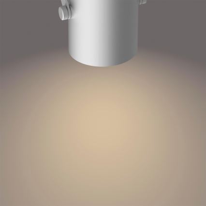 Philips 50662/14/P0 - LED Спот BYRE 2xLED/4,3W/230V 2200/2500/2700K