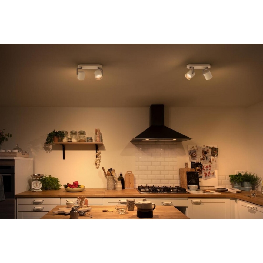 Philips - LED Димируем спот 2xLED/4.5W/230V